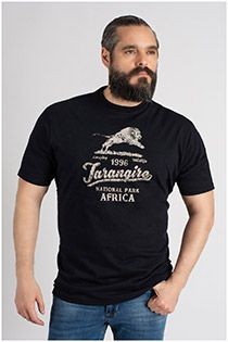 Korte mouw t-shirt Kitaro met borstprint